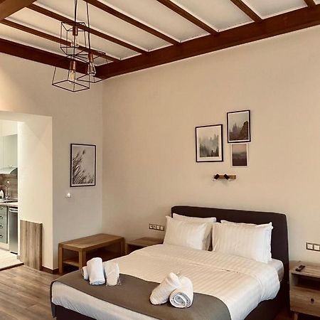 11 Luxury Apartments Metsovo Exterior foto