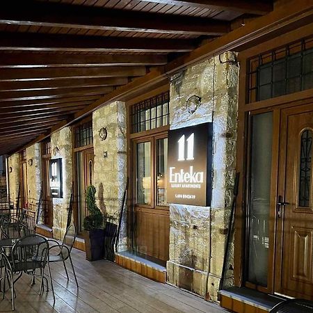 11 Luxury Apartments Metsovo Exterior foto