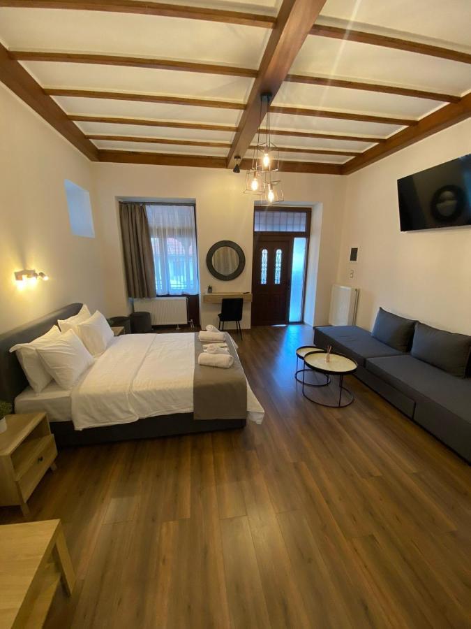 11 Luxury Apartments Metsovo Exterior foto