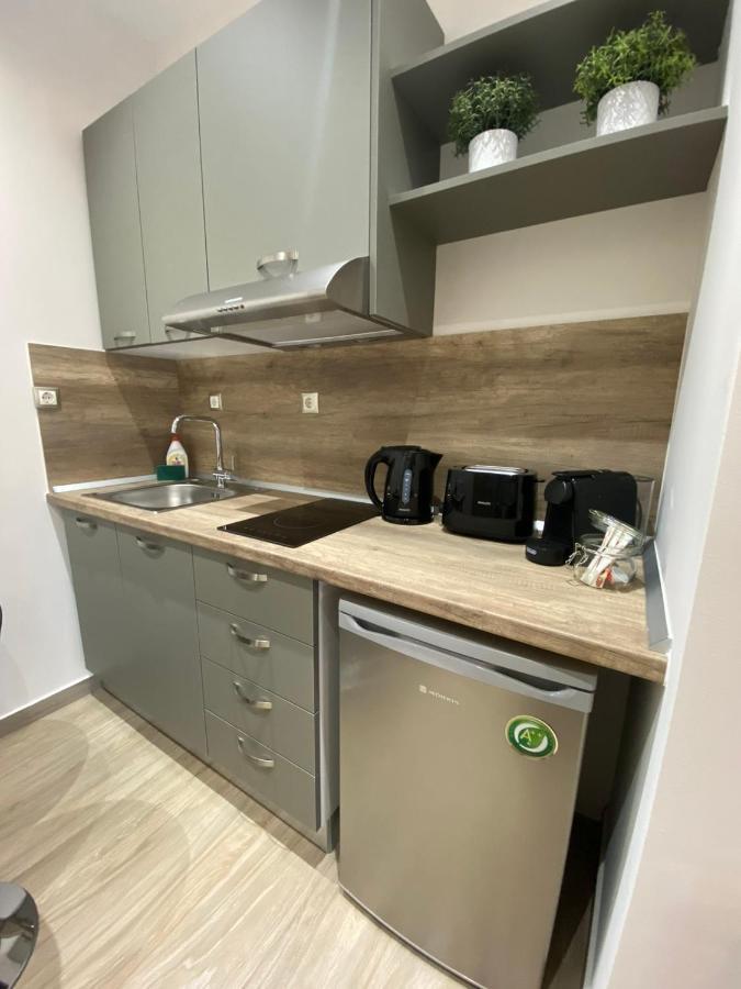 11 Luxury Apartments Metsovo Exterior foto