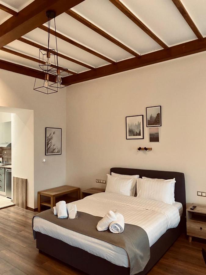 11 Luxury Apartments Metsovo Exterior foto