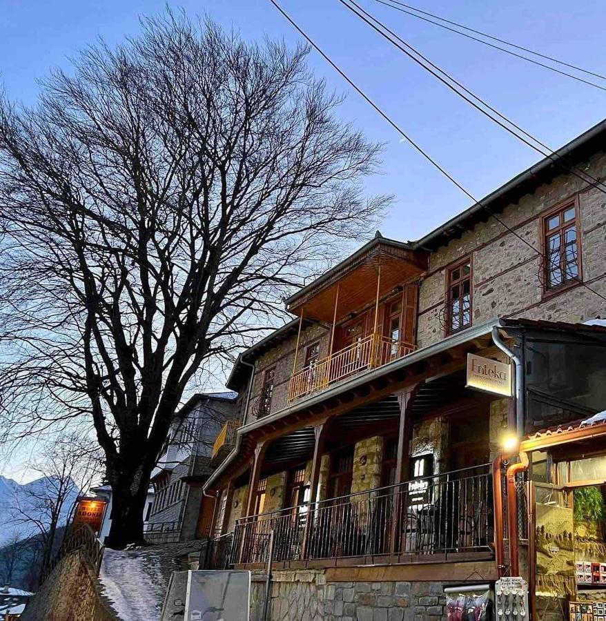 11 Luxury Apartments Metsovo Exterior foto